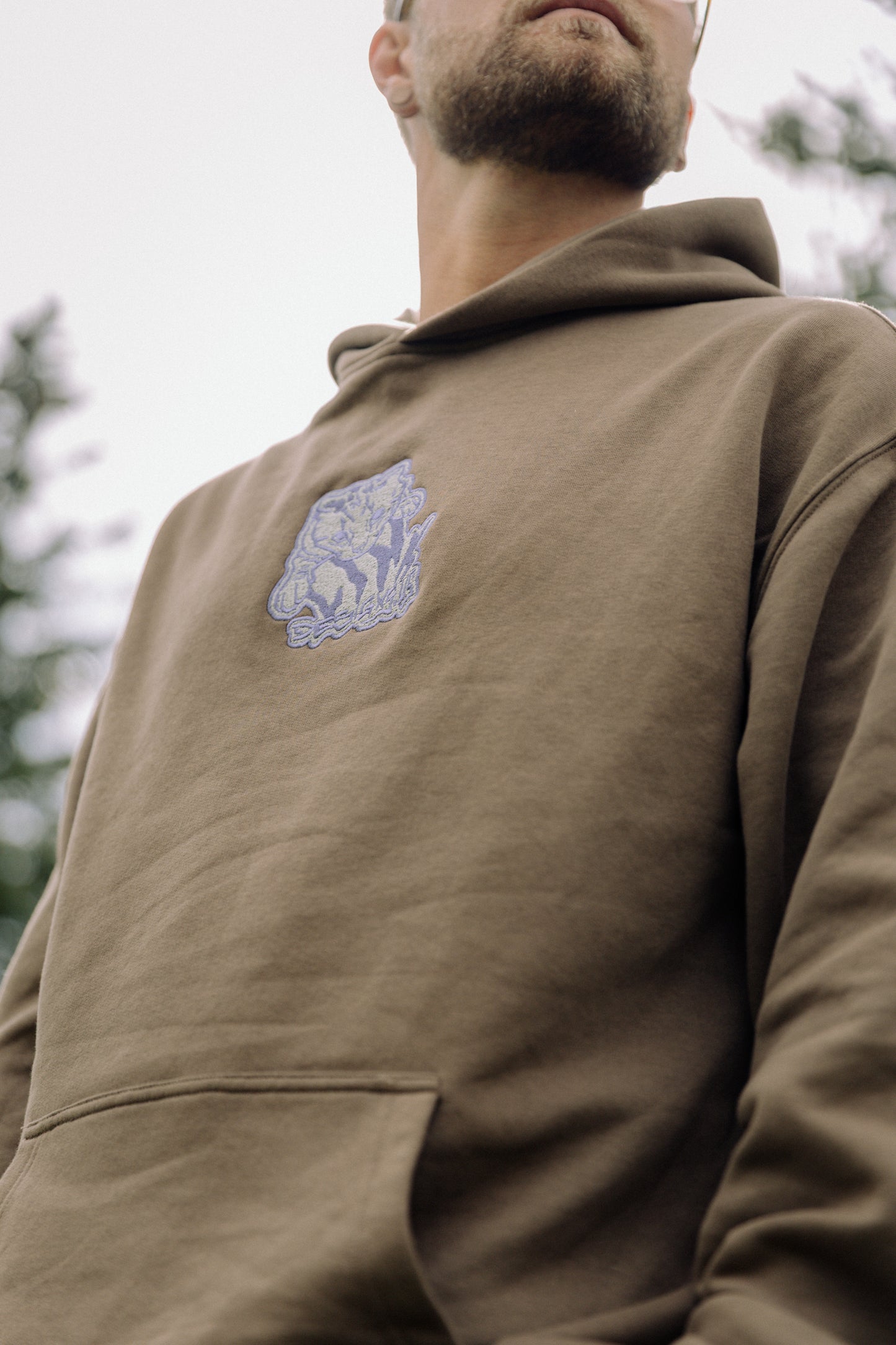 Curious Cat Hoodie